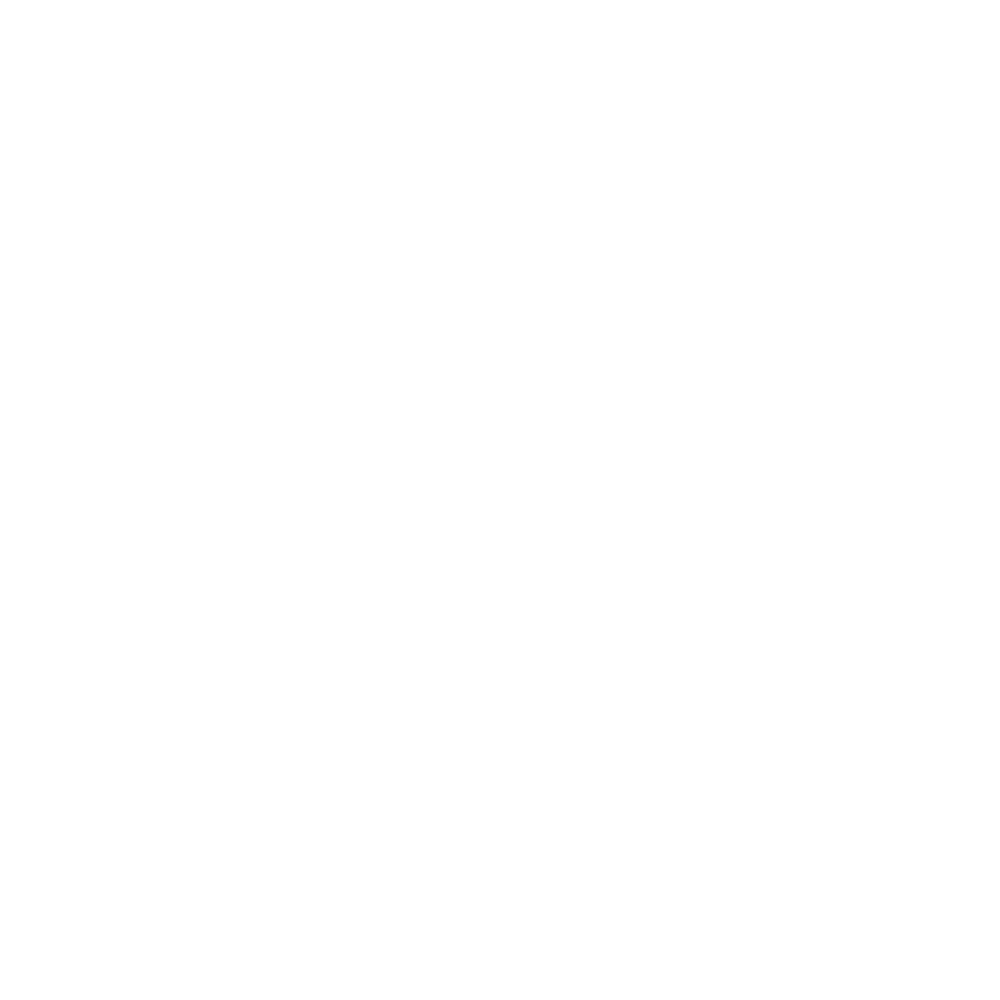White logo - Seena Pay Online Payment Gateway Easy Payments